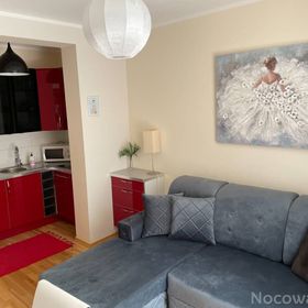 Apartament Leśny Polanica-Zdrój
