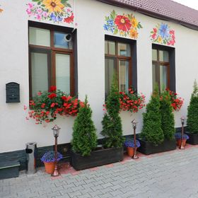 Flowers House Sibiu