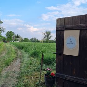 Múltidéző Tanya Csongrád