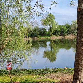 Múltidéző Tanya Csongrád