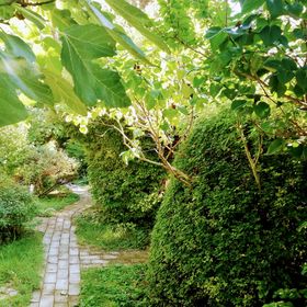 Varázskert Vendégház Balatongyörök