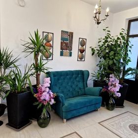 Pensiunea Izvorul Liniștii Rădăşeni