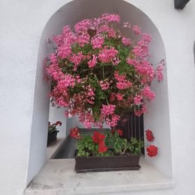 6Rooms Hévíz-Balaton Vendégház Hévíz