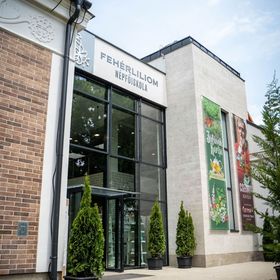 Fehérliliom Vendégszálló Kondoros