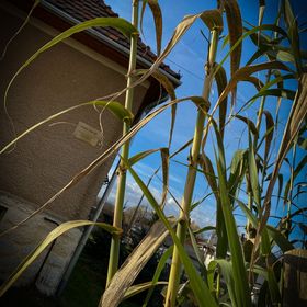 Napfény Liget Vendégház Csokvaomány