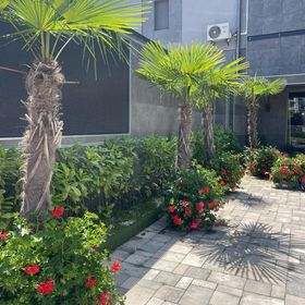 Ellipsum Vendégház Miskolctapolca