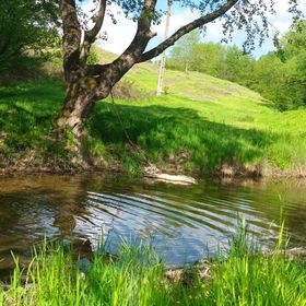 Cameră de închiriat Colț de Rai Reșița