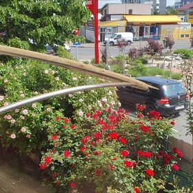 Johanna House București