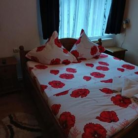 Pensiunea Ana Transalpina