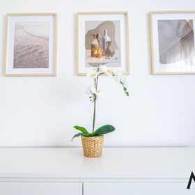 Apartament Mo Host Alexa Brașov