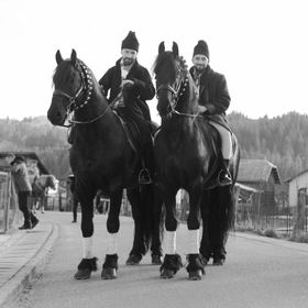  Pensiunea Bucovina Exclusiv Vama