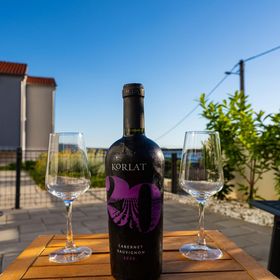 Vendégház Maslenica - CDI901