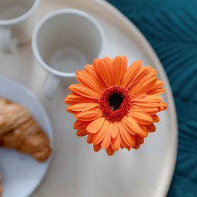 Chełmońskiego 1/21