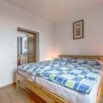Apartmán na Lipně Horní Planá
