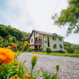 Pensiunea Diana Moisei