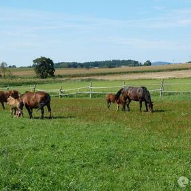 Gospodarstwo Agroturystyczne Marianówek Dzierżoniów
