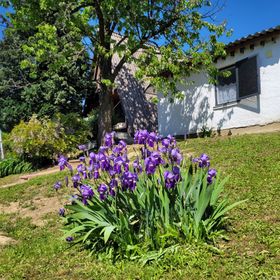 ApróLak Apartman Zalakaros