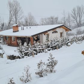 Thomhof Chalets Bran 