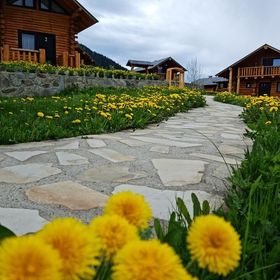 Tabere Cazare Măgura Bucovinei Frumosu