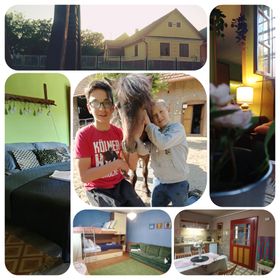 Póni Kuckó Vendégház és Minifarm Hosszúvölgy