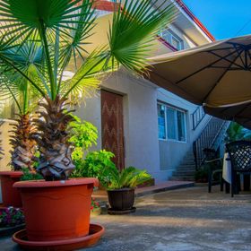 Vila Alexia Costineşti