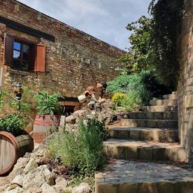 Neptun Porta és Vendégház Berkesd