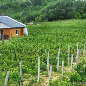 Agroturystyka i Winnica Granice Zgłobień, Rzeszów