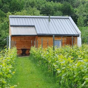 Agroturystyka i Winnica Granice Zgłobień, Rzeszów