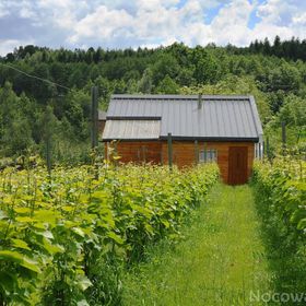 Agroturystyka i Winnica Granice Zgłobień, Rzeszów