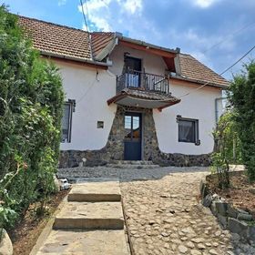 Villa Luiza Șura Mare