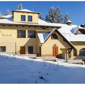 Villa Goździk Wisła II