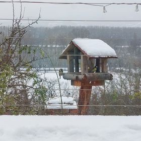 Házikó a Domboldalon Verőce