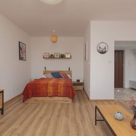 Pl. Dąbrowskiego 5/17