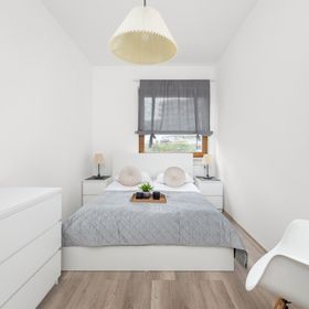 Francesco Nullo 42/26