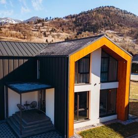 Vila The Nest Borşa