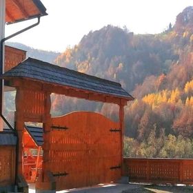 Casa Tomoiaga Vişeu de Sus