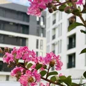 Modern Apartment in Timișoara