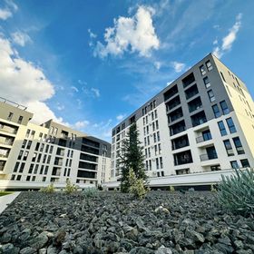 Modern Apartment in Timișoara
