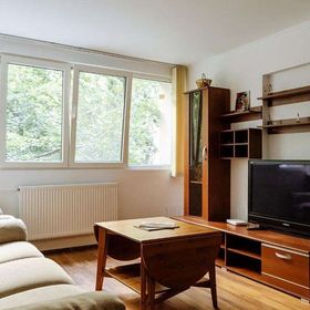 Old Town Historic Apartment with Backyard Mini Park București