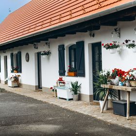 Pájlánd HÁZ -1770- Márok