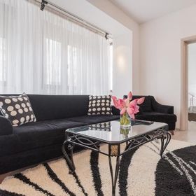 Cozy Apartment near Victoriei Square - Berzei București