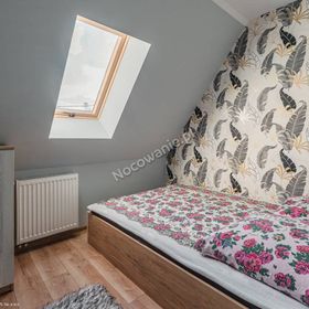 Noclegi u Kolegi Witów