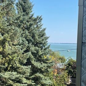 Kormoran@Beach Apartman Csopak