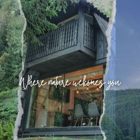 Casa de vacanță Sturzul Negru Munteni