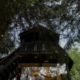 Casa de vacanță Sturzul Negru Munteni