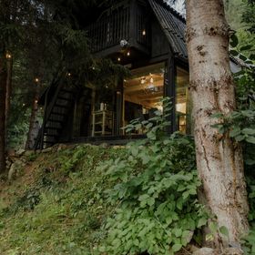 Casa de vacanță Sturzul Negru Munteni