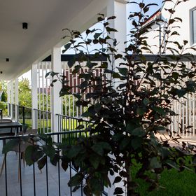 Tihany Major Apartmanház