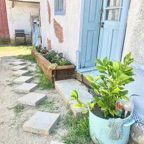 Blue Cottage Șpring