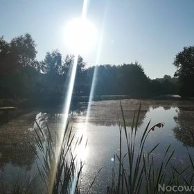 Pokoje Na Stawach Stryszów