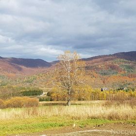 Pańskiemisie - Domki Całoroczne Sauna Jacuzzi Smerek